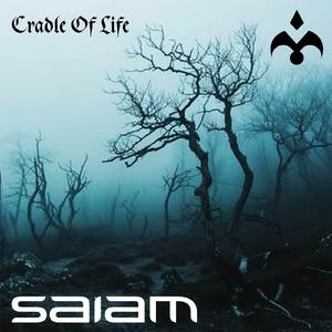 Cradle Of Life