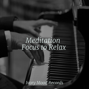 Enchanted Melody Drift