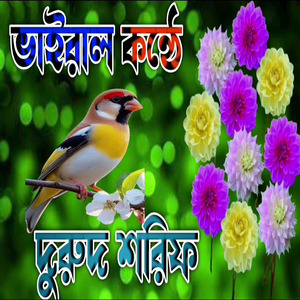 ভাইরাল কন্টে দুরুদ শরিফ মন শান্ত করা কন্টে দুরুদ শরিফ