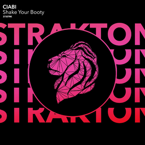 Shake Your Booty (Original Mix)