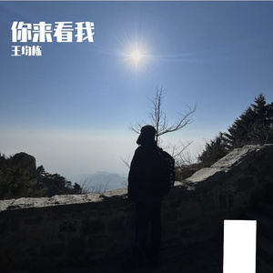 你来看我