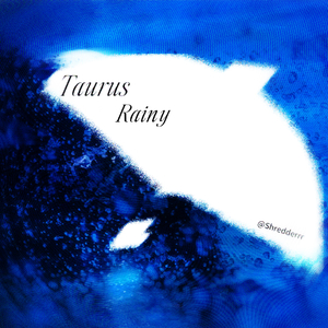 Taurus Rainy(金牛座)(Prod.Gr33nart Beats)