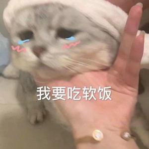 云烟成雨-无心之泪