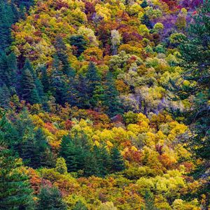 失眠(短暂的陪伴到底是赏赐还是惩罚)