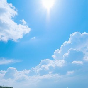 蝉鸣阵阵夏日长