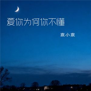 爱你为何你不懂