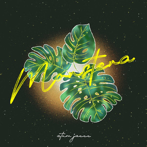 Monstera