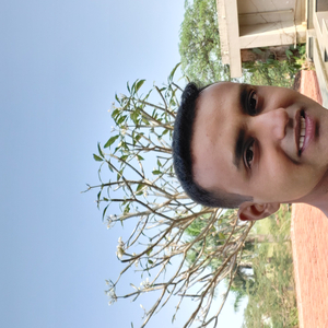 Zari nase geet majhe Salil Pawar