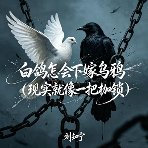 白鸽怎会下嫁乌鸦（现实就像一把枷锁）