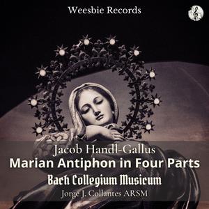 Marian Antiphon in Four Parts