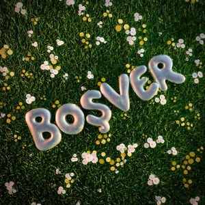 Boşver