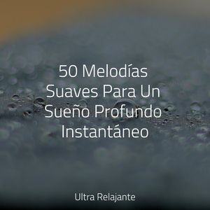 Brisa A Través De Las Edades