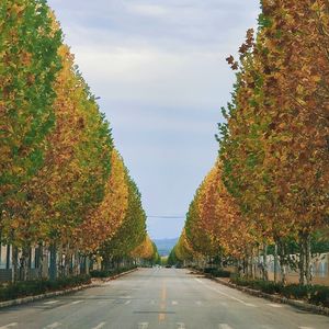 蝉鸣未歇时告别