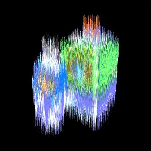 Wo Qui No Coin (Where The **** Is My Puppy?)