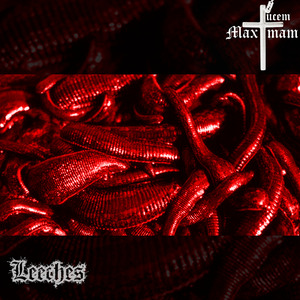 Leeches