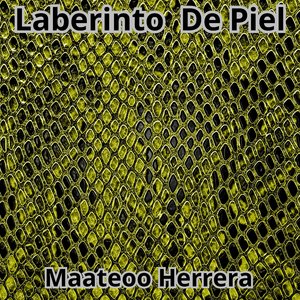 Laberinto de Piel