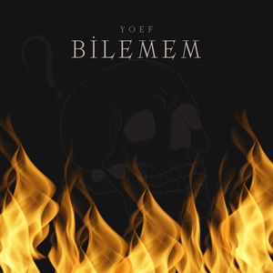 Bilemem