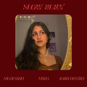 SLOW BURN (feat. Nicofasho & Baris Destro)