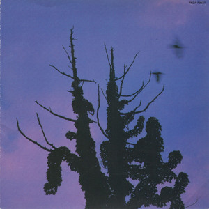 ティラノの非苦知