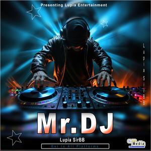 Mr.DJ