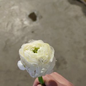 如果（Prod. by Jeston)