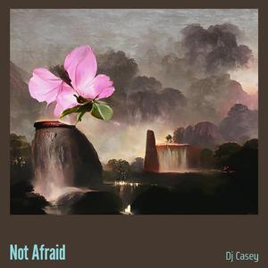 Not Afraid