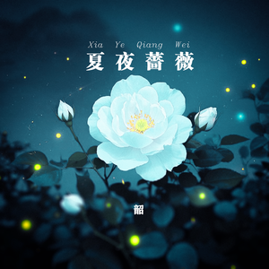 夏夜蔷薇