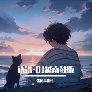 认错-DJ越南鼓版