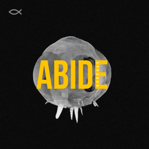 Abide