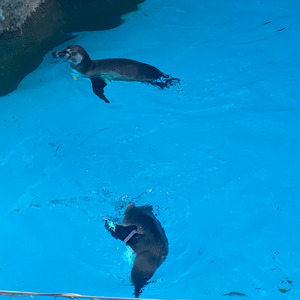 Blue moon (feat. TOUKA)