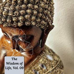 Meditation Traditions