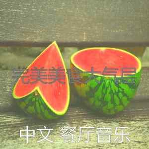 一尘不染餐馆印象数