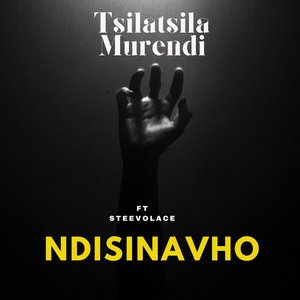 Ndisinavho
