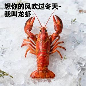 想你的风吹过冬天