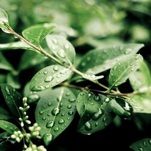 风车小镇-钢琴片段