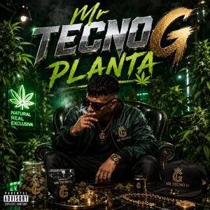 Planta