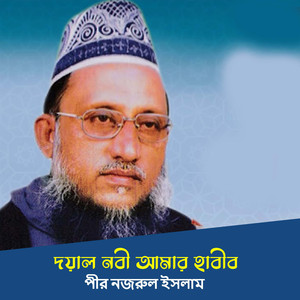 দয়াল নবী আমার