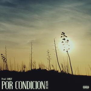Por Condición