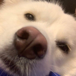 《劳累的一天结束之后》