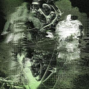 Fields (feat. Phytocene)