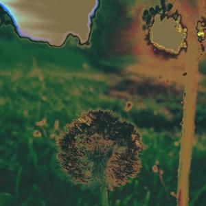 нічого. створеного людиною