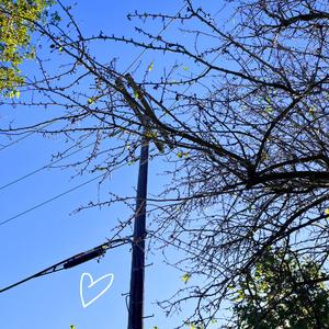 i dont (feat. everyrockstar)