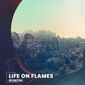Life on Flames