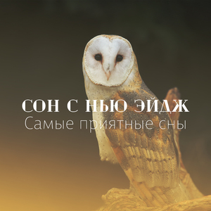 Быстрый сон