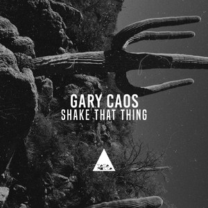 Shake That Thing (Original Mix)