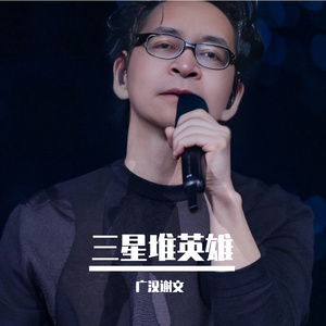 揣着明白装糊涂四川谢文歌曲