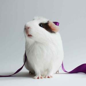 I want to spend my lifetime loving you(林仔女声)