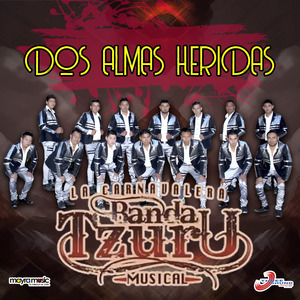 Mirando las Estrellas