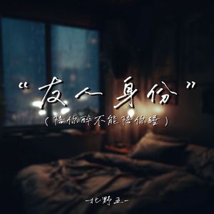 友人身份（陪你醉不能陪你睡）