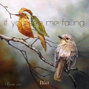 If you see me falling